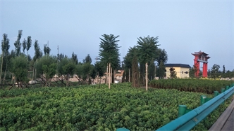 標(biāo)題：張家口經(jīng)開(kāi)區(qū)腰站堡飲用水源地生態(tài)涵養(yǎng)綠化
瀏覽次數(shù)：2070
發(fā)表時(shí)間：2020-10-16