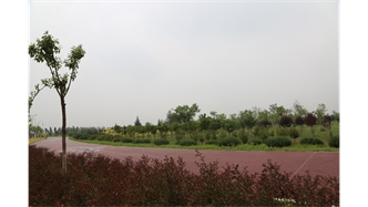 標(biāo)題：大青山南坡生態(tài)修復(fù)
瀏覽次數(shù)：1719
發(fā)表時(shí)間：2020-10-16