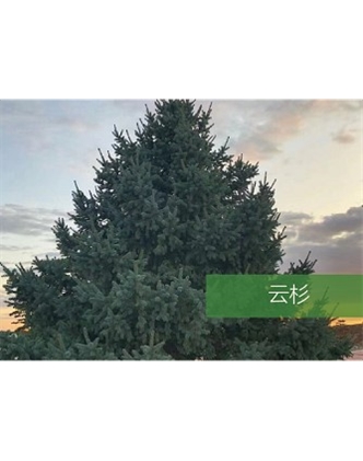 標(biāo)題：?jiǎn)坦嗄?瀏覽次數(shù)：1813
發(fā)表時(shí)間：2020-10-17