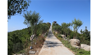 標(biāo)題：張家口太子山山體修復(fù)
瀏覽次數(shù)：17928
發(fā)表時(shí)間：2020-11-12